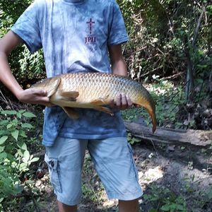 Meet your Posher, Todd